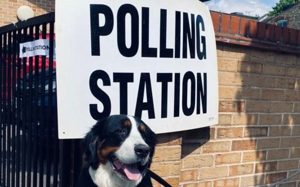 A black and brown dog on a lead next to a polling station sign